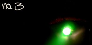 Interviu cu Uma Swan