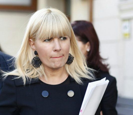 Elena Udrea. Astazi le-am spus tuturor constructorilor din Romania: daca cineva mai foloseste numele meu, anuntati DNA