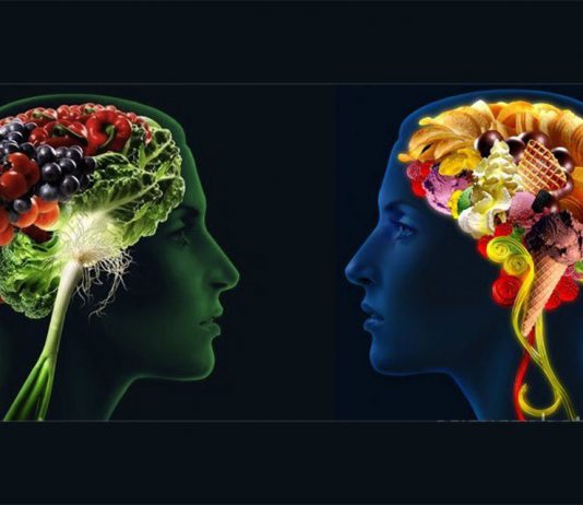 Comportamentul alimentar normal