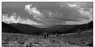 Fotografia alb-negru – clasica si expresiva