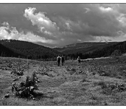 Fotografia alb-negru – clasica si expresiva