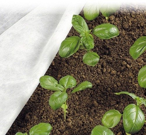 Beneficiile foliilor negre de plastic pentru cultivatori